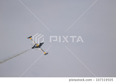 Canadian CT-133 in flight 107319505