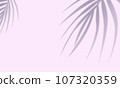 pink wall tropical leaves shadow background 107320359