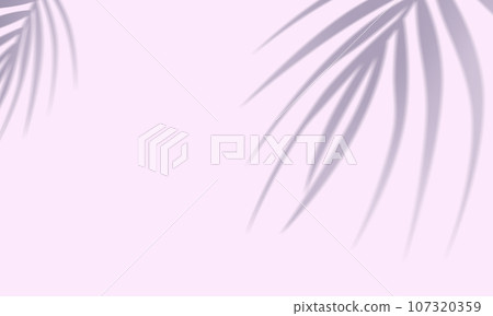 pink wall tropical leaves shadow background 107320359