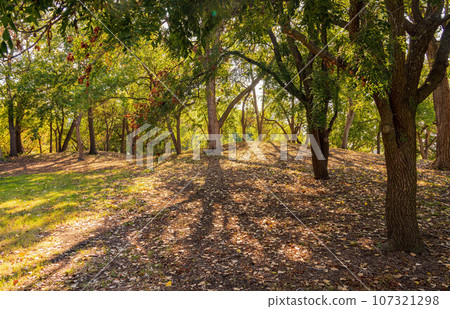 Sunny exterior view of the Veterans Memorial Park Sunny exterior view of the Veterans Memorial Park 107321298
