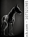 dog puppy hound studio silhouette photo black white vintage backlit motion contour tattoo 107321985