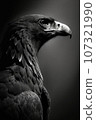 America big eagle studio silhouette photo black white vintage backlit portrait contour tattoo 107321990