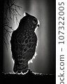 night owl studio silhouette photo black white vintage backlit portrait motion contour tattoo 107322005