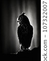 night owl studio silhouette photo black white vintage backlit portrait motion contour tattoo 107322007