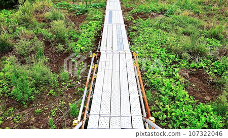 千葉縣市原市養老谷田野中鋪設的鷹架小路 千葉縣市原市養老谷田野中鋪設的鷹架小路 107322046
