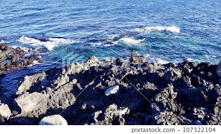 Red bald coast of Izu Oshima 107322104