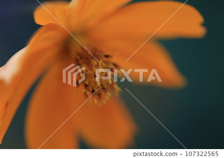 宇宙0144 107322565