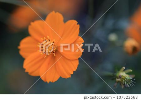 宇宙0147 107322568