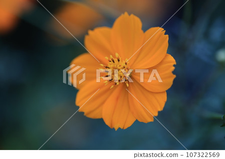 宇宙0148 107322569