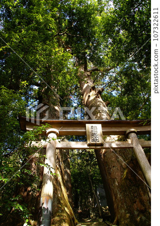 繼櫻大吉社 107322611