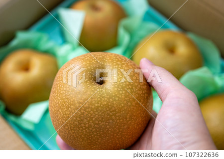 pear pear 107322636