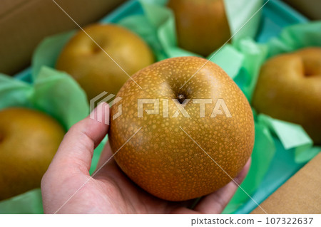 pear  107322637