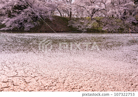 山形縣嘉城公園山形城遺址護城河內的櫻花與花筏 107322753