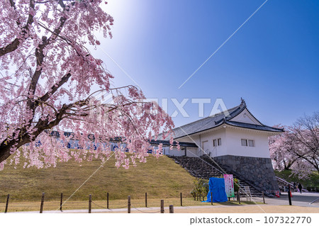 山形縣嘉城公園的山形城遺址二之丸東大手門和櫻花 山形縣嘉城公園的山形城遺址二之丸東大手門和櫻花 107322770