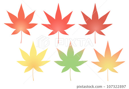 Maple leaf set 107322897