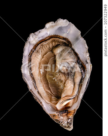 one half of an open fresh raw oyster. one half of an open fresh raw oyster. 107322949