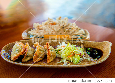 chinese fried dumplings plate with soy sauce 107322984