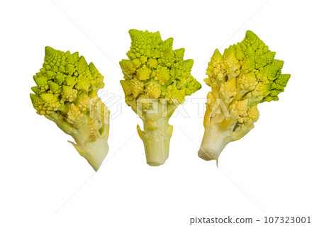 romanesco broccoli roman cauliflower inflorescence 107323001