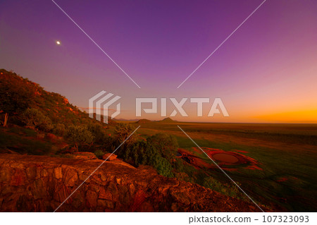 beautiful flora and fauna of the African savannah 107323093