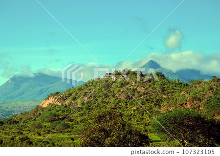 beautiful flora and fauna of the African savannah beautiful flora and fauna of the African savannah 107323105