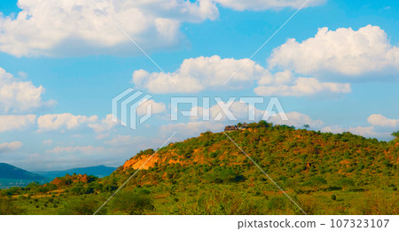 beautiful flora and fauna of the African savannah 107323107