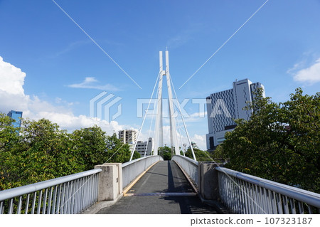 Scenery of Kawasaki Bridge over Okawa 107323187