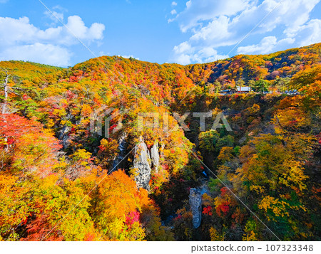 Naruko Gorge (autumn) 107323348