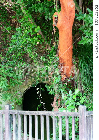 城山西鄉高森洞窟 城山西鄉高森洞窟 107323852
