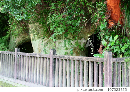 西鄉高森洞窟風景 107323853