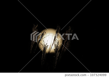 鈴木和中秋明月 107324099