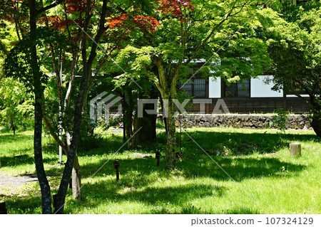 Fresh green streets of Shinano Oiwake-juku, Karuizawa Oiwake 107324129
