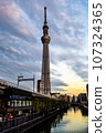 Sky tree at dusk 107324365