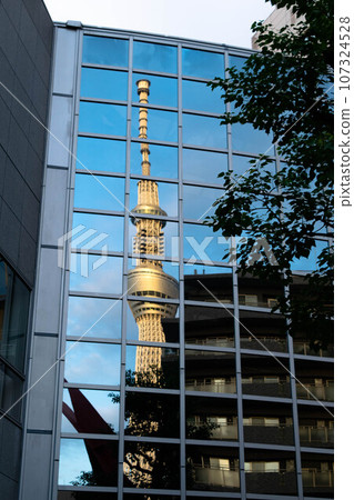 Skytree reflected in Sumida Ward Office 107324528