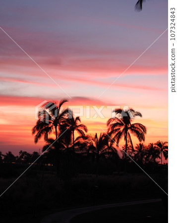 magic hour on hawaii island 107324843