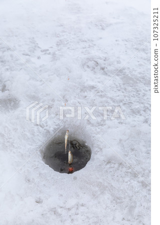 北海道_隆冬的網走湖風光與西太公魚垂釣 107325211