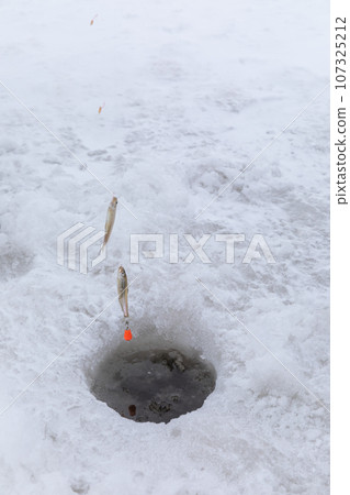 北海道_隆冬的網走湖風光與西太公魚垂釣 107325212