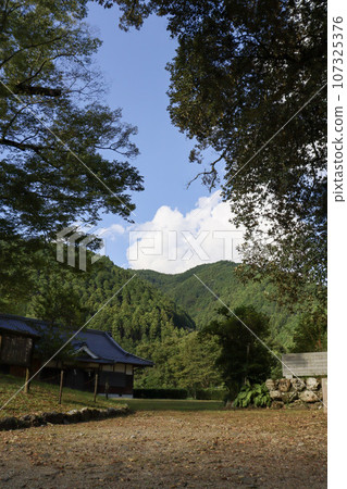 Autumn weather and a zelkova tree that is over 1000 years old at the power spot Hirose Shrine Autumn weather and a zelkova tree that is over 1000 years old at the power spot Hirose Shrine 107325376
