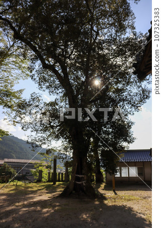 能量景點廣瀨神社境內 能量景點廣瀨神社境內 107325383