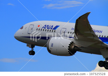 函館機場_B787起飛飛機 函館機場_B787起飛飛機 107325528