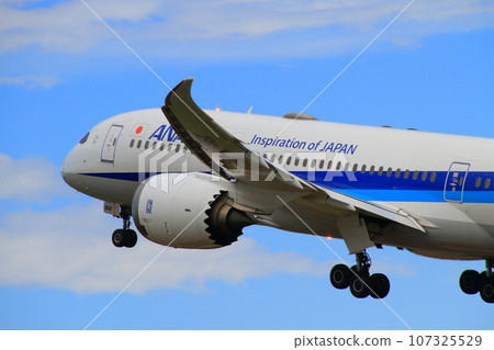 Hakodate Airport_B787 takeoff aircraft Hakodate Airport_B787 takeoff aircraft 107325529