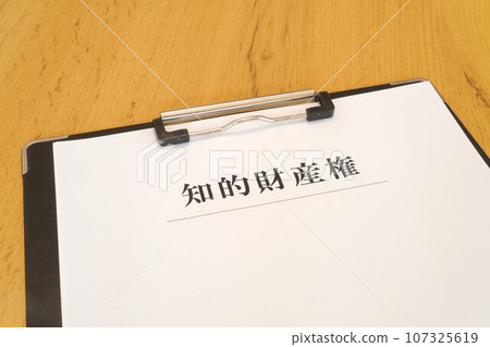 Intellectual property binder 107325619