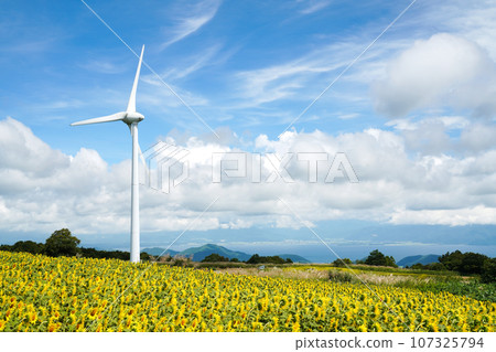 Scenery with sunflowers, Lake Inawashiro and windmills in Nunobiki Highland, Fukushima Prefecture Scenery with sunflowers, Lake Inawashiro and windmills in Nunobiki Highland, Fukushima Prefecture 107325794