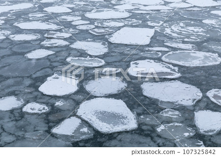 Hokkaido Abashiri_ Lotus leaf ice landscape 107325842