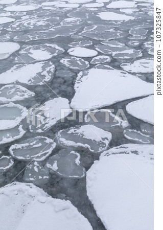 Hokkaido Abashiri_ Lotus leaf ice landscape Hokkaido Abashiri_ Lotus leaf ice landscape 107325847