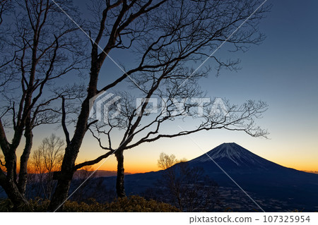 從朝霧高原和天嶽看到的黎明富士山 107325954