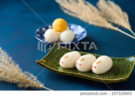 Moon-viewing rabbit dumplings 107326065