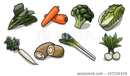 流行冬季蔬菜插畫素材 107326329