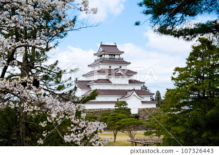 Cherry blossoms in full bloom and Tsuruga Castle, Aizuwakamatsu, Fukushima Prefecture 107326443