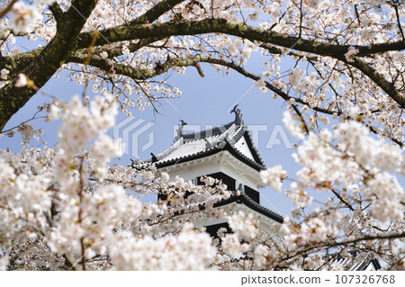 福島縣白河市的櫻花盛開和小峰城 107326768