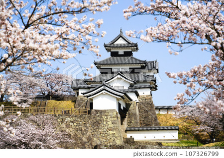 福島縣白河市的櫻花盛開和小峰城 福島縣白河市的櫻花盛開和小峰城 107326799